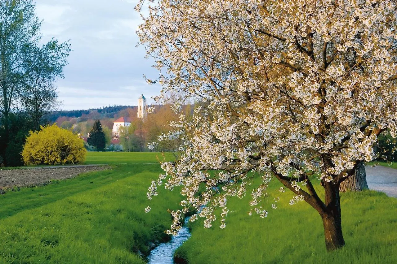 Hotel Best Western Aparthotel Birnbachhoehe Bad Birnbach