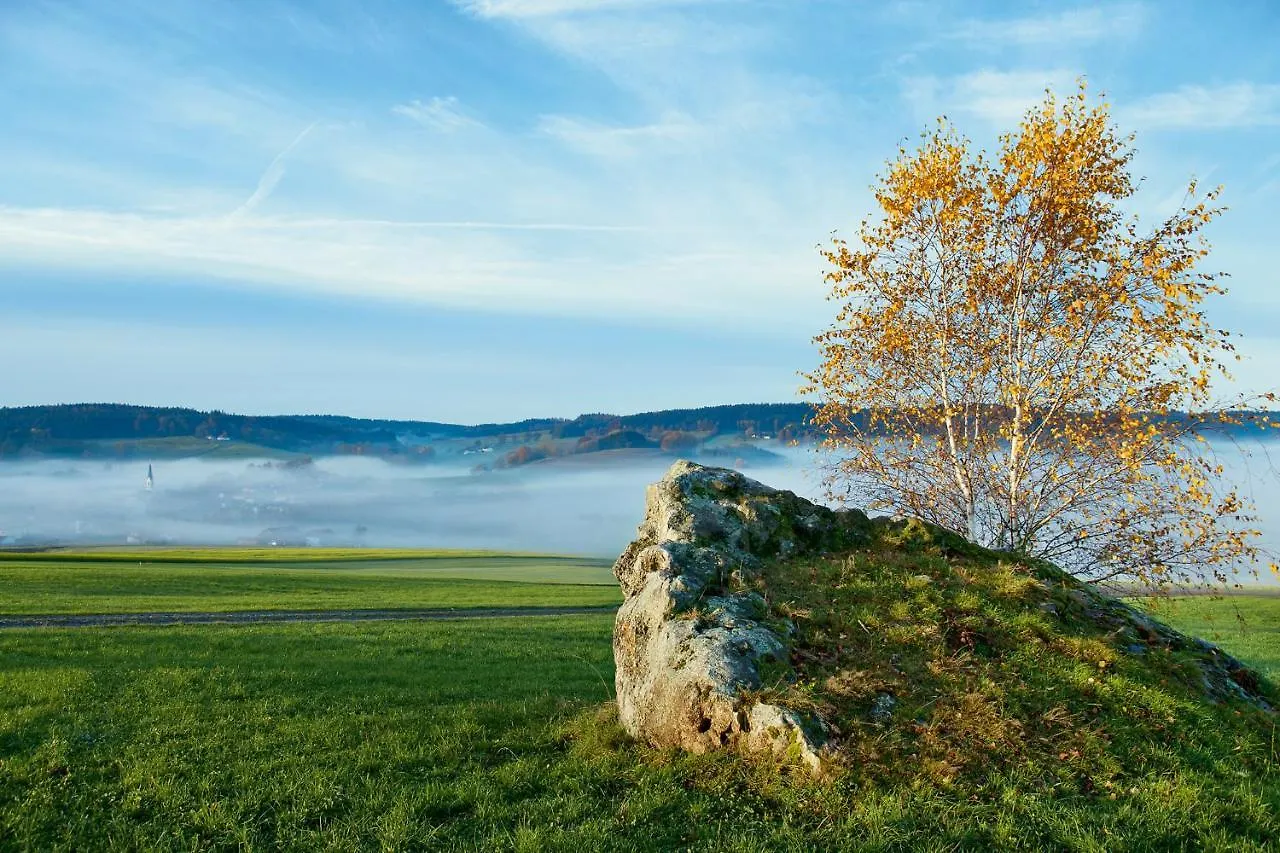 Hotel Best Western Aparthotel Birnbachhoehe Bad Birnbach